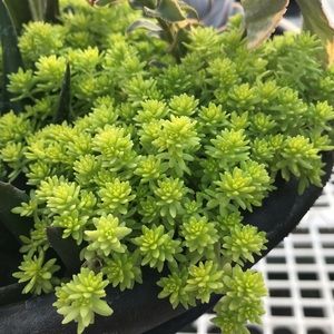 Meet your Posher, Cristina